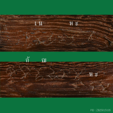 >>>..,ปลัดขิก หลวงพ่ออี๋ วัดสัตหีบ ไม้คูณ 3.5นิ้ว ดูง่าย