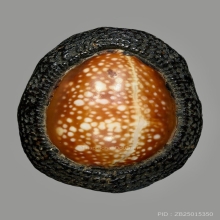 เบี้ยแก้หลวงพ่อภักดิ์ วัดโบสถ์ 