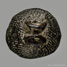 เบี้ยแก้หลวงพ่อภักดิ์ วัดโบสถ์ 