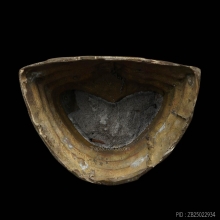 พระพุทธสิหิงค์ นครศรีฯ รุ่นแรก ปี17