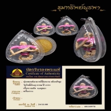 หุ่นพยนต์ อาจารย์ปี่ พร้อมบัตร ปี 2559