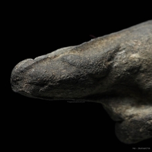 ควายธนู หลวงปู่จันทร์ วัดทุ่งเฟื้อ รุ่นแรก เบอร์1 แดนใต้