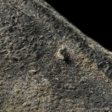 ควายธนู หลวงปู่จันทร์ วัดทุ่งเฟื้อ รุ่นแรก เบอร์1 แดนใต้