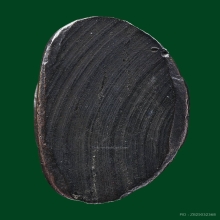 พระกริ่งหลวงพ่อโสธร ปี2508 พิมพ์หน้าเล็ก(หน้าสรพงษ์) นิยม