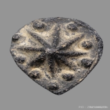 ดาวแม่เนื้อหอม หลวงพ่อผินะ วัดสนมลาว จ.สระบุรี