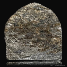 ปรกลูกยอ กำแพงเพชร เนื้อชินเงิน