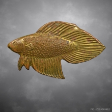 ปลากัดสารพัดนึกเรียกลาภหลวงพ่อน่วม วัดโพธิ์ศรีเจริญ รุ่นแรก