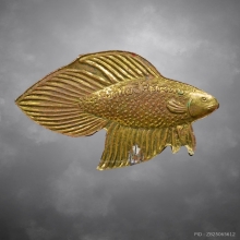 ปลากัดสารพัดนึกเรียกลาภหลวงพ่อน่วม วัดโพธิ์ศรีเจริญ รุ่นแรก