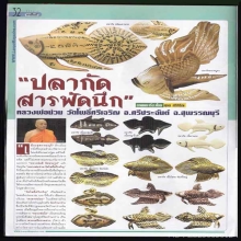 ปลากัดสารพัดนึกเรียกลาภหลวงพ่อน่วม วัดโพธิ์ศรีเจริญ รุ่นแรก