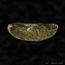 พระชัยสิงหเสนีย์ หลวงปู่ธูป วัดแคนางเลิ้ง น้ำทองสวยๆ