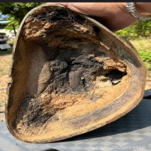 พระเจ้าเชียงแสน สิงห์หนึ่ง ยุครัชกาลเหนือ สวยเดิม