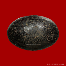 ครั่งเหลือร้าย หลวงพ่อทองสุข วัดโตนดหลวง จ.เพชรบุรี