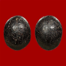 ครั่งเหลือร้าย หลวงพ่อทองสุข วัดโตนดหลวง จ.เพชรบุรี