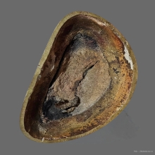 พระพุทธชินสีห์ วัดบวรนิเวศ พิมพ์หงายพระหัตถ์