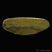 รูปเหมือนปั้มรุ่น2หลวงพ่อสว่างวัดท่าพุทราพิมพ์ปากจู่นิยมปี19