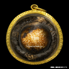 1ในสุดยอดเบญจภาคีเบี้ยแก้ เบี้ยแก้หลวงพ่อภักตร์ วัดโบสถ์