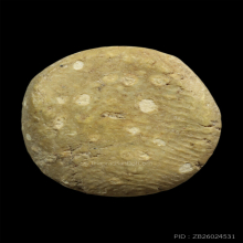 พระกรุวัดอัมพวา พิมพ์พระสังกัจจายน์ เนื้อผงน้ำมัน