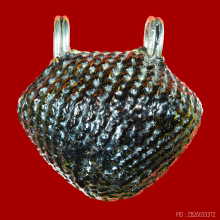 เบี้ยแก้หลวงปู่เจือ ยุคต้น วัดกลางบางแก้ว นครปฐม