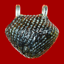 เบี้ยแก้หลวงปู่เจือ ยุคต้น วัดกลางบางแก้ว นครปฐม