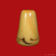 เสือหลวงพ่อปาน หุบปาก 