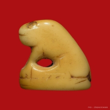 เสือหลวงพ่อปาน หุบปาก 