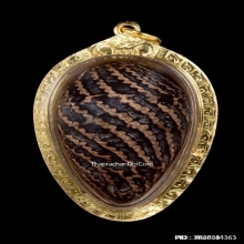 หมากทุยหลวงปู่เอี่ยม วัดหนัง