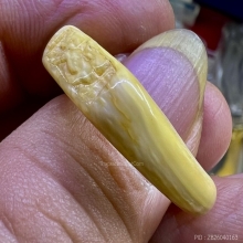 แหวนสิงห์งาแกะ เก่าแห้งสมบูรณ์ วงใหญ่