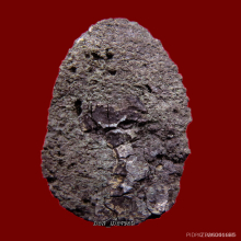 องค์นเรศวรกู้ชาติ พระพิจิตรเม็ดข้าวเม่าแขนหักศอก สวยแชมป์ๆ