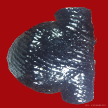 เบี้ยแก้ ถักพาดตะกรุดจารมือ ปู่เจือ วัดกลางบางแก้ว