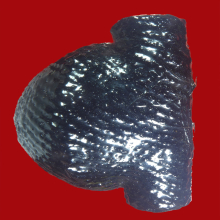 เบี้ยแก้ ถักพาดตะกรุดจารมือ ปู่เจือ วัดกลางบางแก้ว