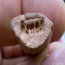 พระลีลาใหญ่พ่อเต๋ คงทอง เนื้อดิน7ป่าช้าผสมผง ตอกก้น