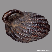 ลูกอมมหาเสน่ห์หลวงพ่อปลอด วัดในปากทะเล จ.เพชรบุรี