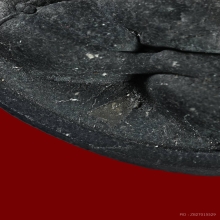 พระปิดตาจัมโบ้ไก่เถื่อน ฝังตะกรุดเงิน ลป.วิเวียร ปี 2536 