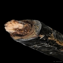 ตะกรุดหลวงพ่อกลั่น วัดพระญาติ จ.อยุธยา