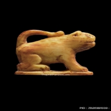 เสือหลวงพ่อเฮง วัดเขาดิน จ.นครสวรรค์