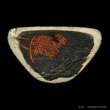 รูปหล่อหลวงปู่ทิม วัดละหารไร  เนื้อเงิน รุ่นโสฬส ปี33 เลข 96