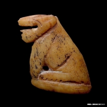 เสือหลวงพ่อสาย วัดคลองด่าน จ.สมุทรปราการ