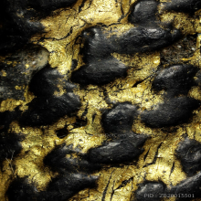 ตะกรุดสี่มหาอำนาจหลวงพ่อเทียม  วัดกษัตราธิราช