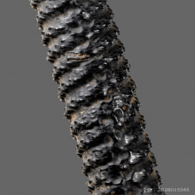 หลวงพ่อเทียม วัดกษัตราธิราช จ.อยุธยา