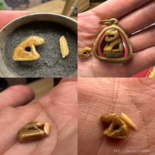 เสือหลวงพ่อปาน วัดมงคลโคธาวาส (ขนาดข้าวสาร) 