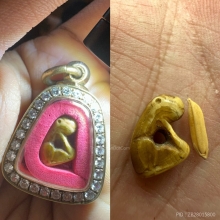 เสือหลวงพ่อปาน วัดมงคลโคธาวาส (ขนาดข้าวสาร) 