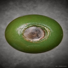 น้ำเต้า หลวงพ่อสด วัดปากน้ำ รุ่นแรก สวยแชมป์ (เขียวหยกนิยม)