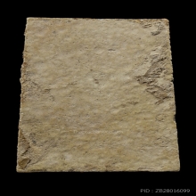 +บัตรสมาคม สมเด็จพิมพ์ใหญ่ หลวงปู่ลำภู ลงกรุต้นโพธิ์