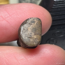 ท่านเจ้ามา วัดสามปลื้ม พิมพ์เศียรทุย