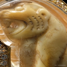 “เสือเมืองจันท์องค์ดาราในหนังสือ”หลวงพ่อคง วังสรรพรส