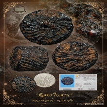 “พิสมรจักรนารายณ์”หลวงพ่อแก้ว พวงมาลัย