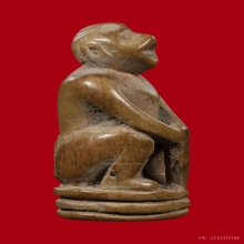 ลิง หลวงพ่อดิ่ง วัดบางวัว จ.ฉะเชิงเทรา