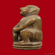 ลิง หลวงพ่อดิ่ง วัดบางวัว จ.ฉะเชิงเทรา