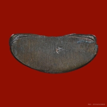 พระสังกัจจายน์ชินบัญชร หลวงปู่ทิม วัดละหารไร่ ปี 2517