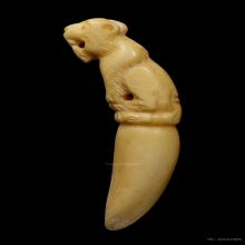  +บัตรสมาคม เขี้ยวแกะ เสือหลวงพ่อคง วัดวังสรรพรส